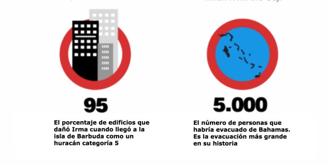 info5 (1).jpg